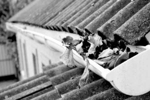 Fall leaves in roof gutters