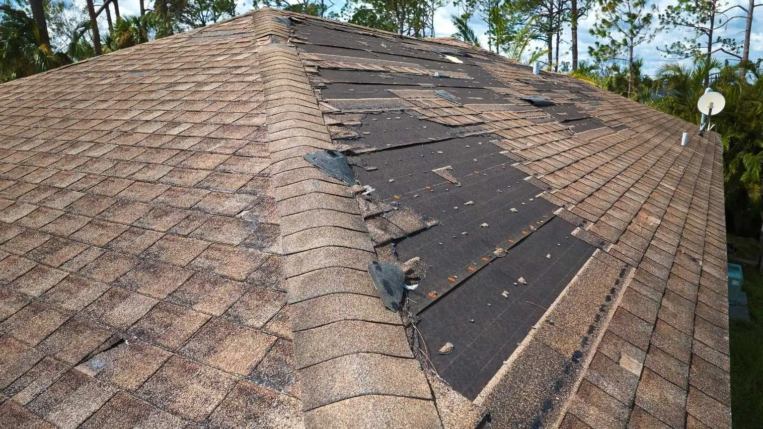 Close-up of aging asphalt shingles on a home roof