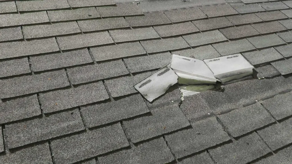 Damaged shingles on a residential roof