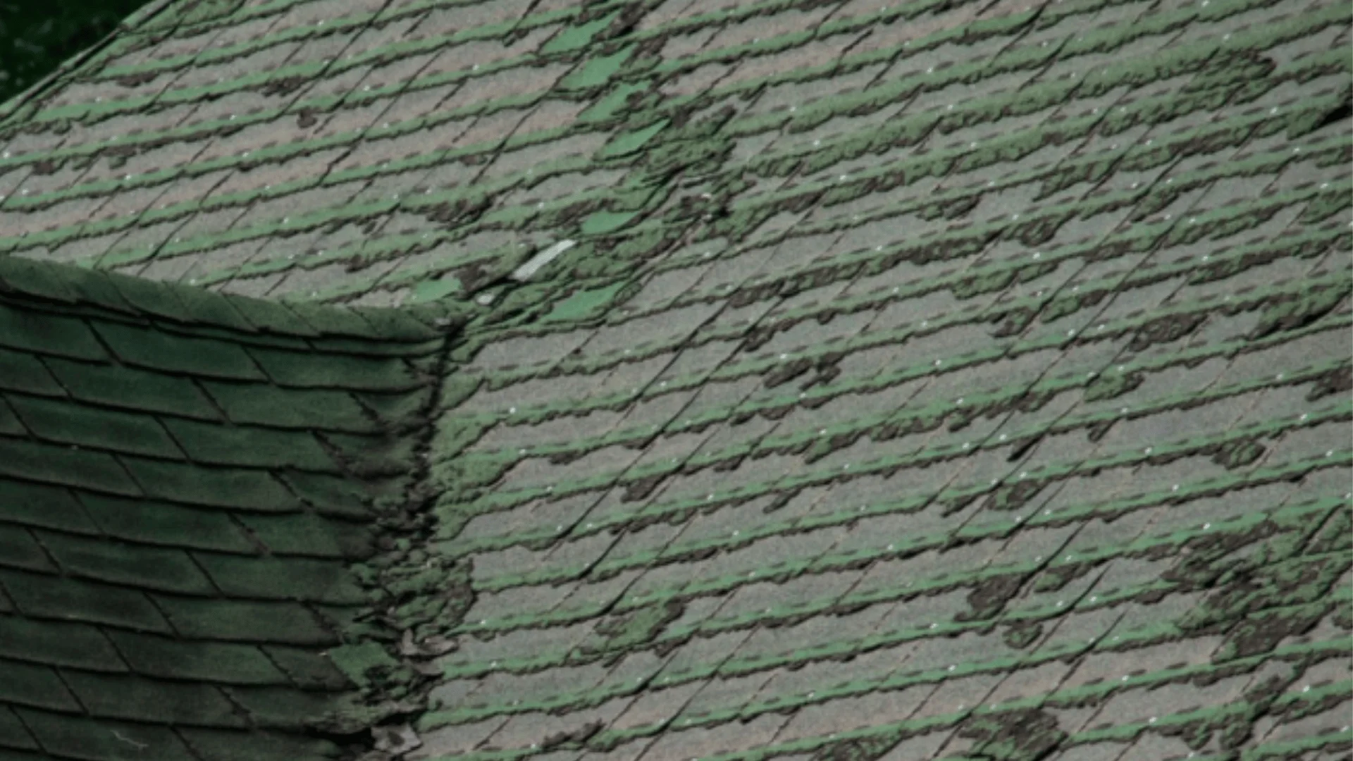 Severely deteriorated roof with moss growth and rotting shingles showing consequences of delayed repairs in Minnesota