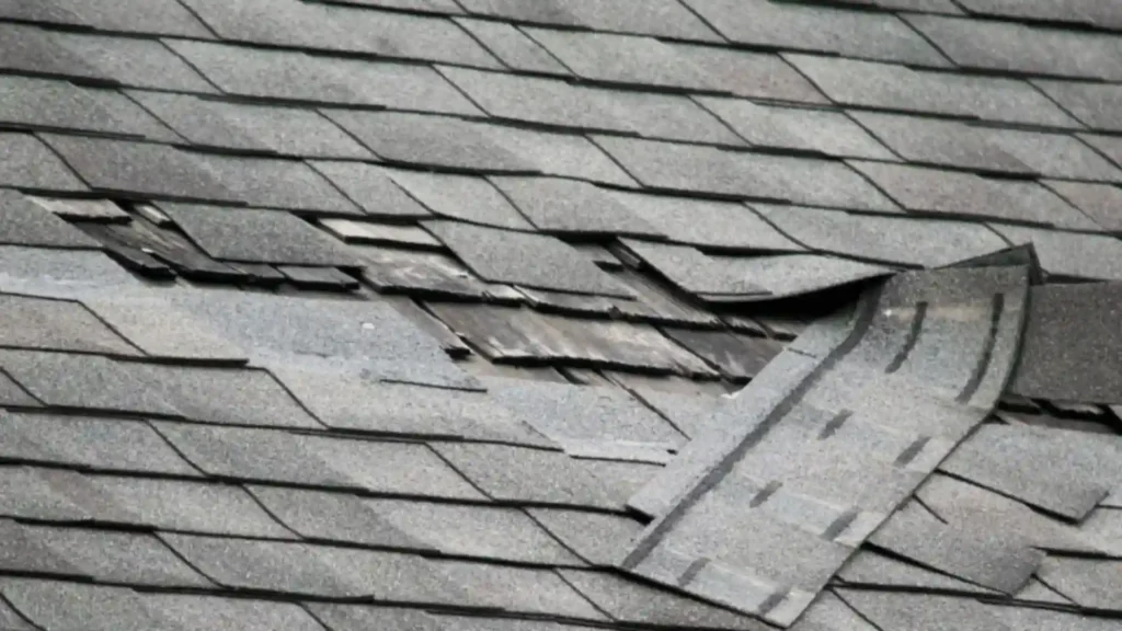Close-up of wind-damaged roof shingles lifting and separating in Rochester MN