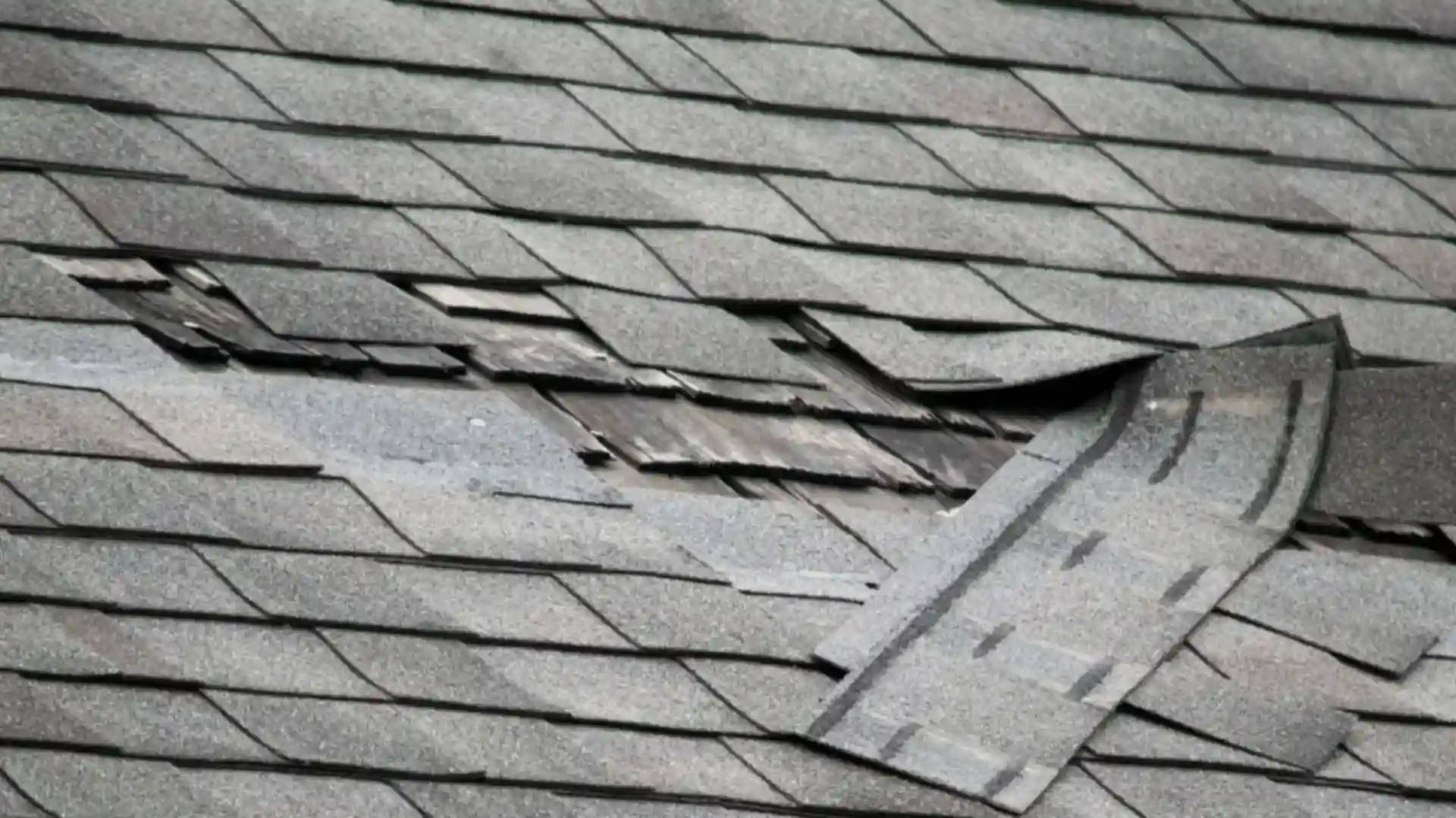 Close-up of wind-damaged roof shingles lifting and separating in Rochester MN