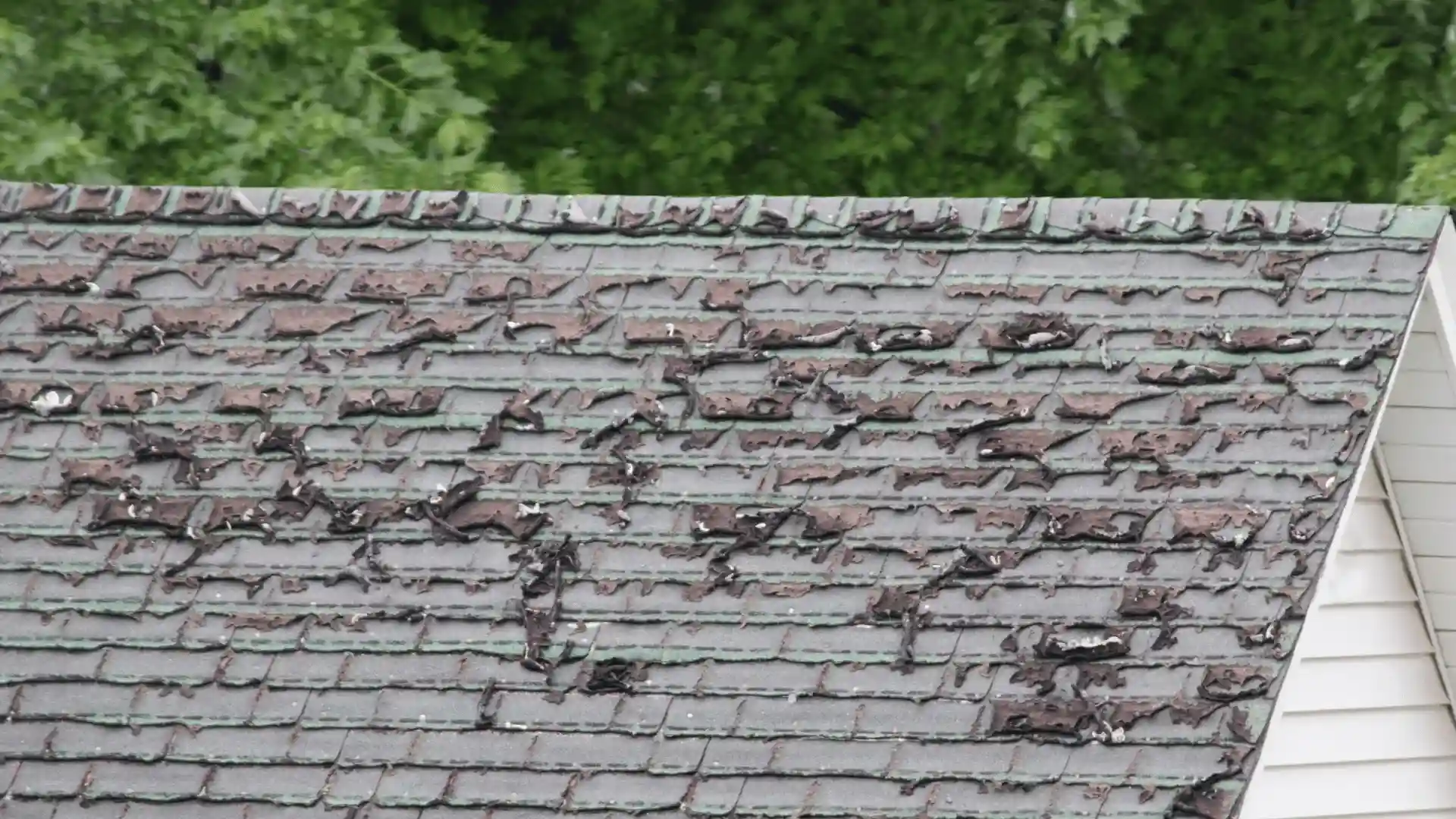 Severely weathered and deteriorating roof shingles showing long-term Minnesota weather damage in Rochester MN