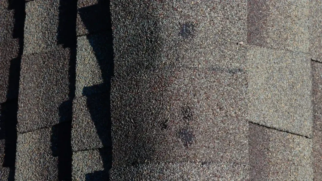 Damaged asphalt shingles showing impact marks and roof wear